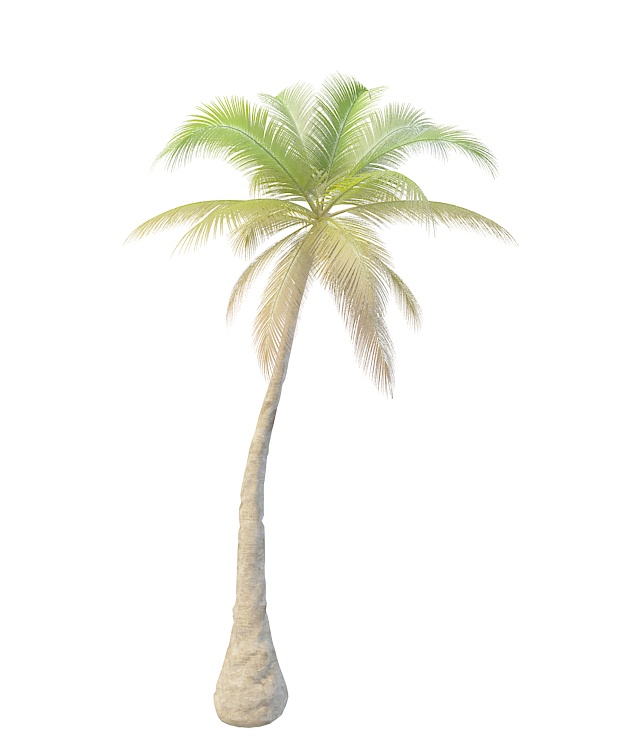 Slanted palm tree 3d rendering