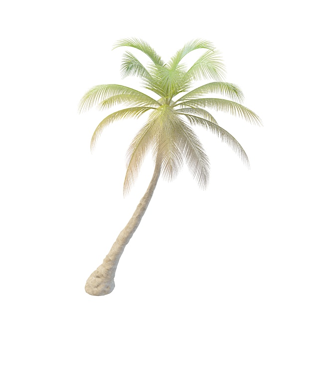 Slanted palm tree 3d rendering