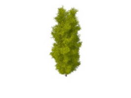 Longleaf pine tree 3d model preview