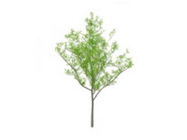 Spring tree 3d model preview
