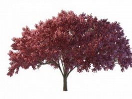 Red tree for landscaping 3d model preview