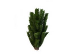 Short pine tree 3d model preview