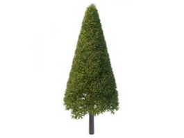 Cone shaped pine tree 3d model preview