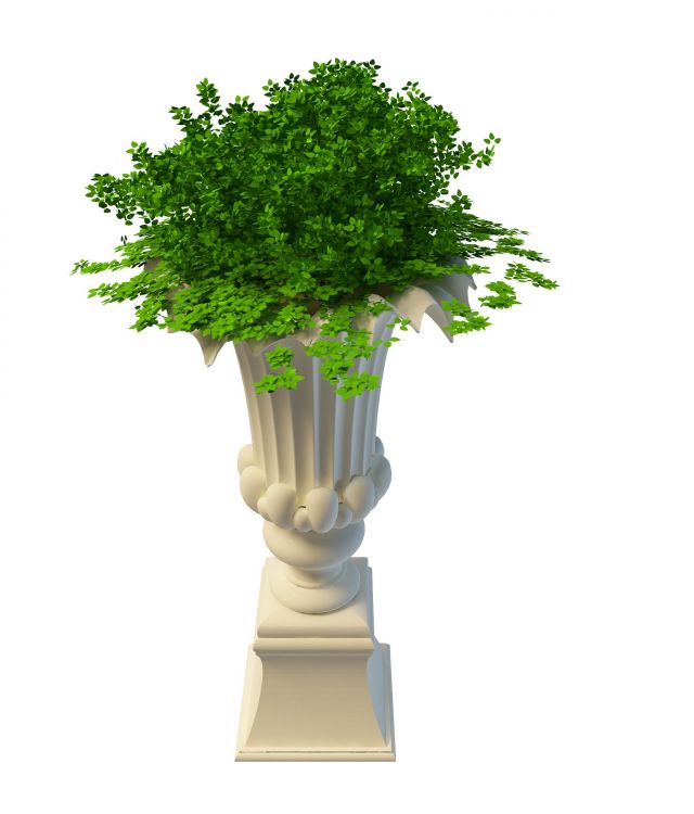 Tall garden planter and urn 3d rendering