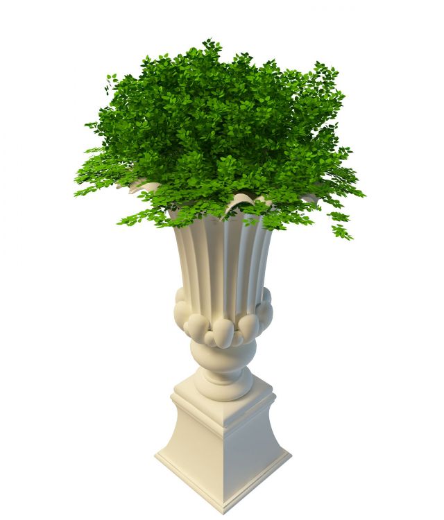 Tall garden planter and urn 3d rendering