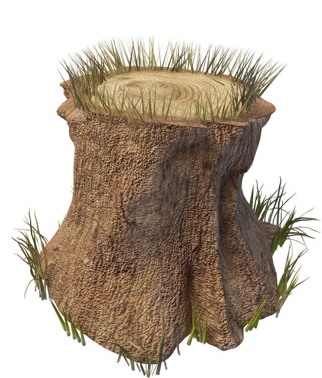 Tree stump 3d rendering