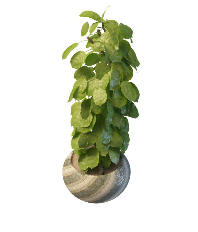 Potted plant for landscaping 3d rendering