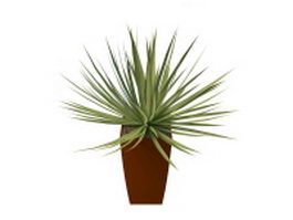 Potted grass plants 3d model preview