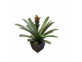 Agave potted plant 3d model preview