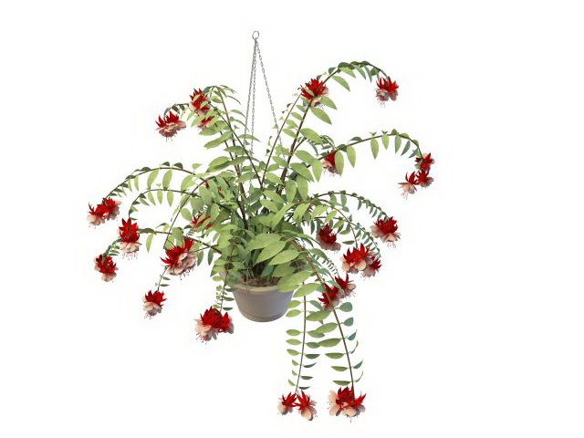 Hanging flower pot plant 3d rendering