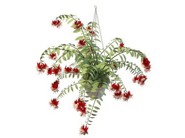Hanging flower pot plant 3d rendering