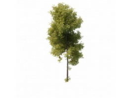 Generic tree 3d model preview
