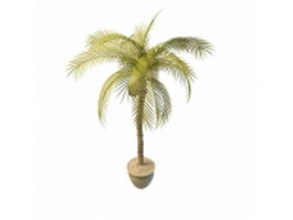 Potted coconut tree 3d model preview