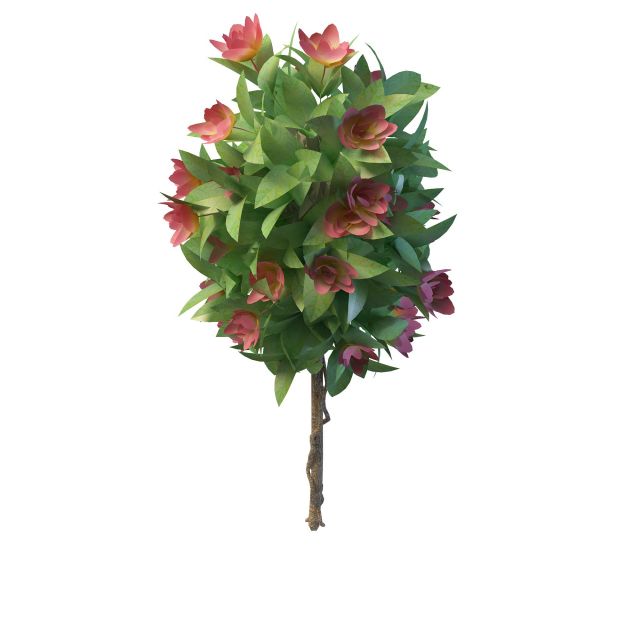 Ornamental plant for garden 3d rendering