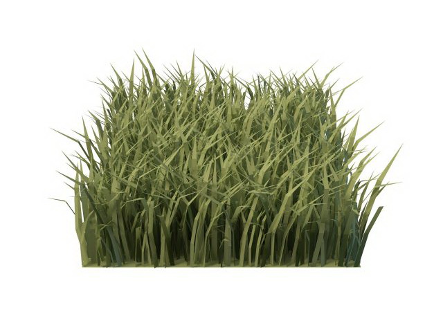Piece of green grass 3d rendering
