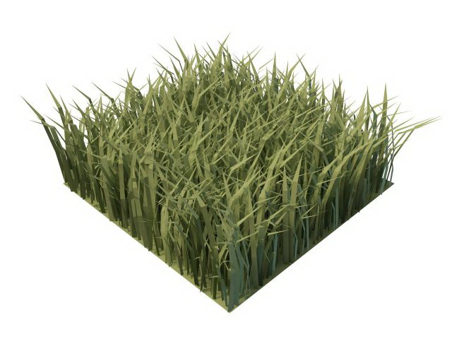 Piece of green grass 3d rendering