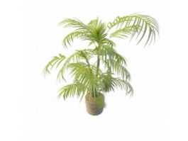 Palm plant in pots 3d model preview