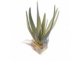 Potted Aloe vera plant 3d model preview