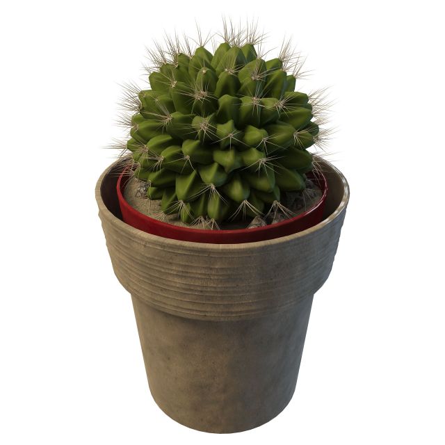 Ball cactus planter pot 3d rendering