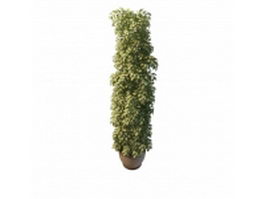 Tall variegated plants pot 3d model preview