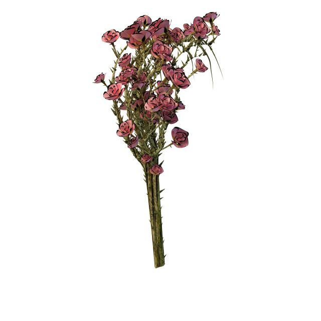 Rose tree branches 3d rendering