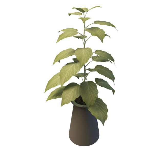 Indoor decorative plant pots 3d rendering