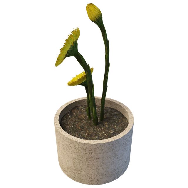 Flower pot plants 3d rendering