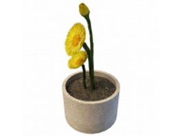 Flower pot plants 3d model preview