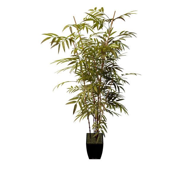 Bamboo plant pot 3d rendering