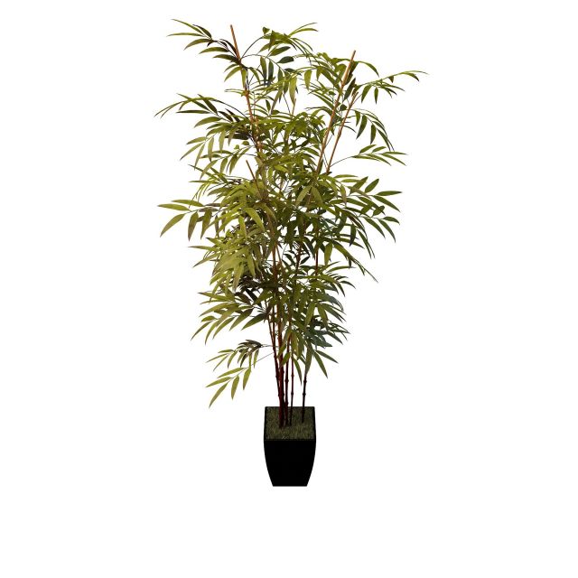 Bamboo plant pot 3d rendering