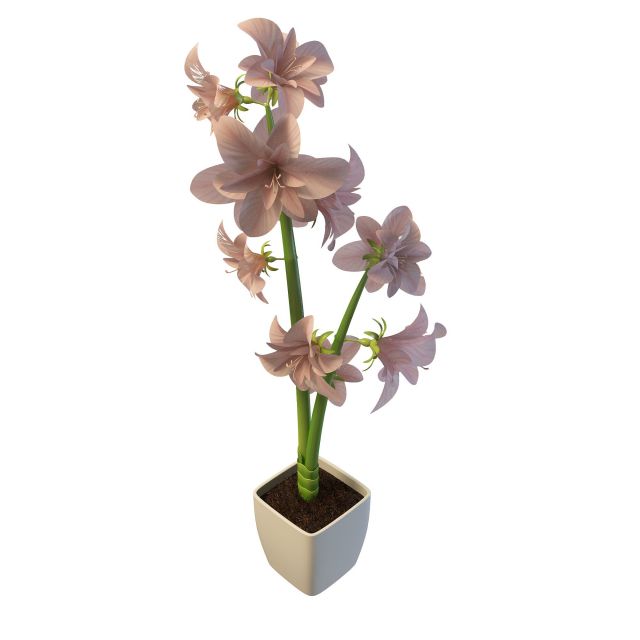 Pot plant with pink flowers 3d rendering