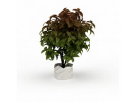 Ornamental potted plant 3d model preview