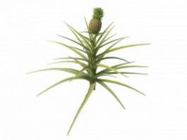 Pineapple plant 3d preview