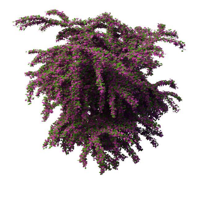 Purple blooming bushes 3d rendering