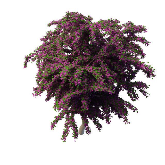 Purple blooming bushes 3d rendering