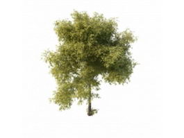 Luxuriant tree 3d model preview