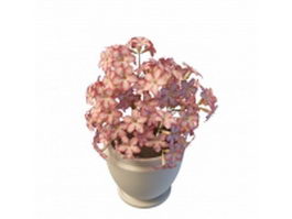 Potted pink flowers 3d model preview