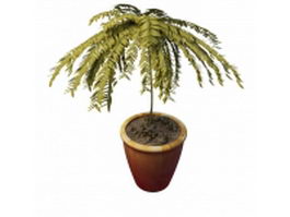 Pot tree for landscaping 3d model preview