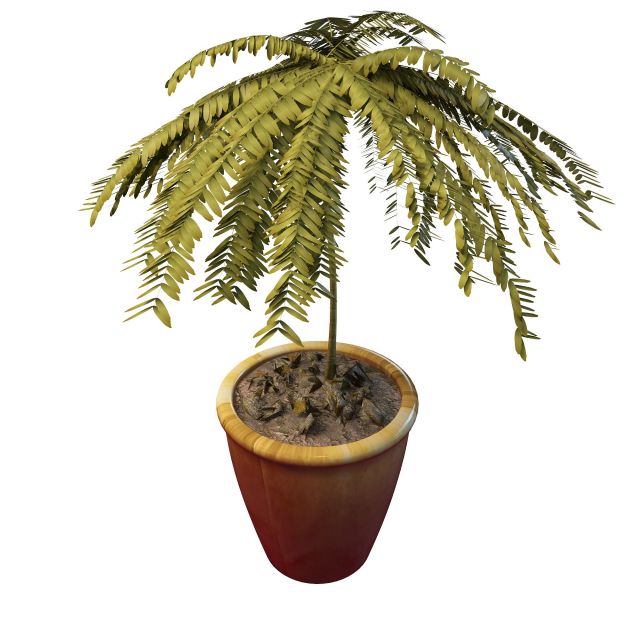 Pot tree for landscaping 3d rendering