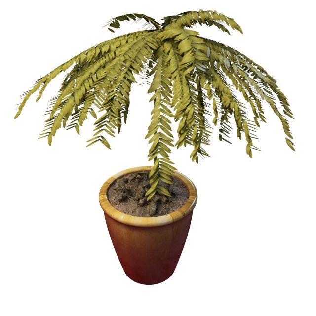 Pot tree for landscaping 3d rendering