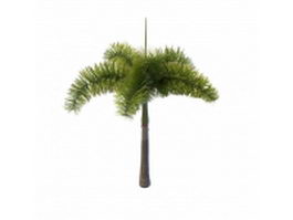 Royal palm tree 3d model preview
