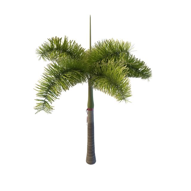 Royal palm tree 3d rendering