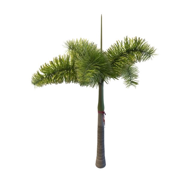 Royal palm tree 3d rendering