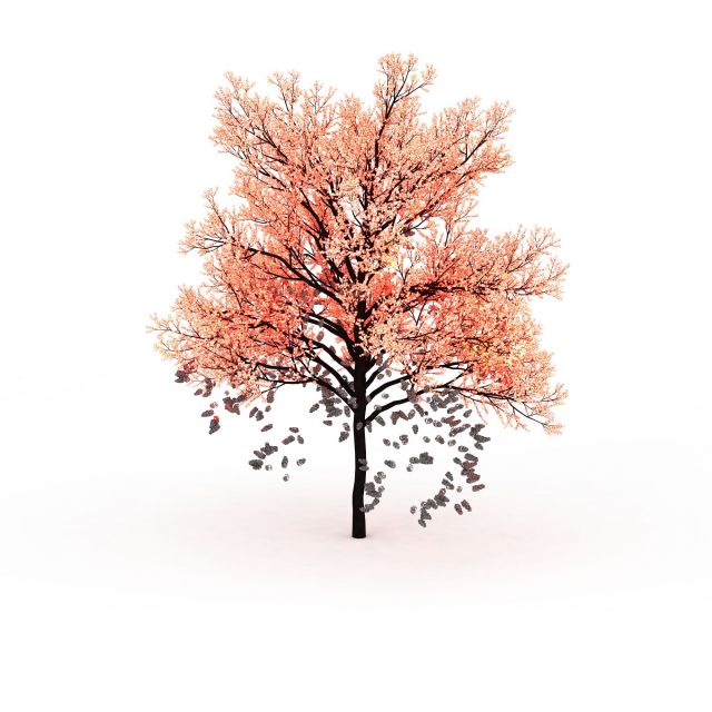 Pink tree for landscaping 3d rendering