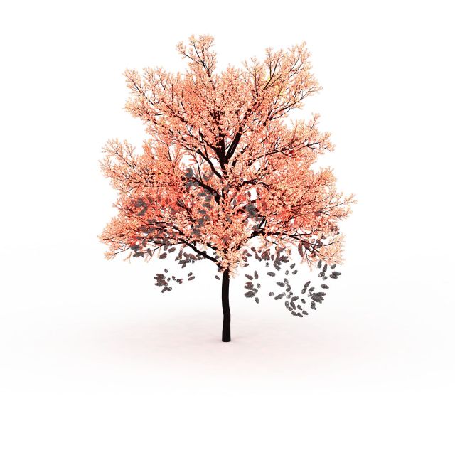 Pink tree for landscaping 3d rendering
