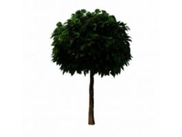 Topiary tree for garden 3d model preview