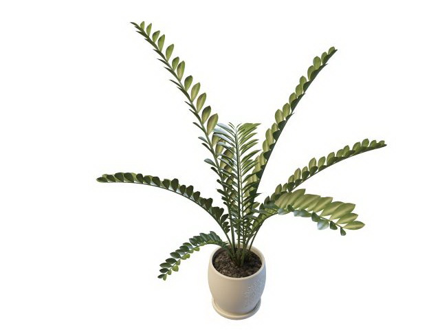 Odd pinnate plant 3d rendering