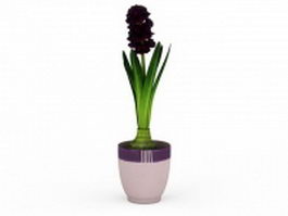 Potted hyacinth plant 3d model preview
