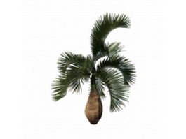 Bottle palm tree 3d model preview