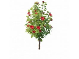 Hibiscus tree for landscaping 3d model preview